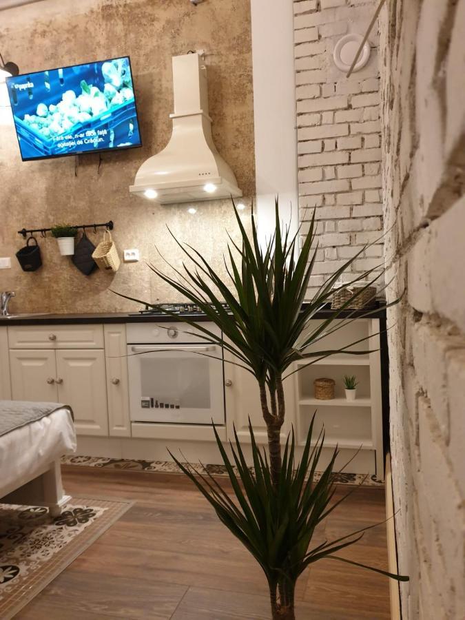 Apartment Vlad Cozy Brasov