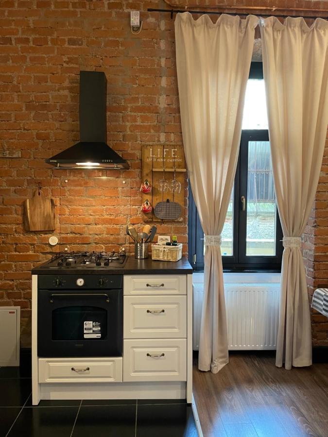 Vlad Cozy Apartment Brasov
